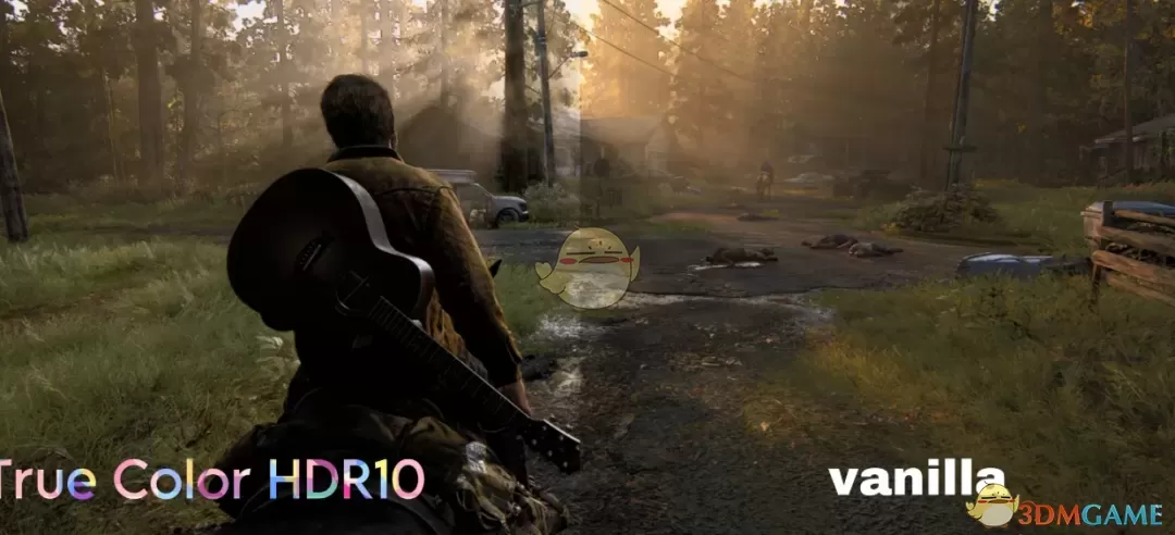 《最后的生还者2：重制版》真彩色HDR10画面预设MOD