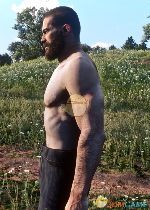 《荒野大镖客2》肌肉猛男亚瑟MOD