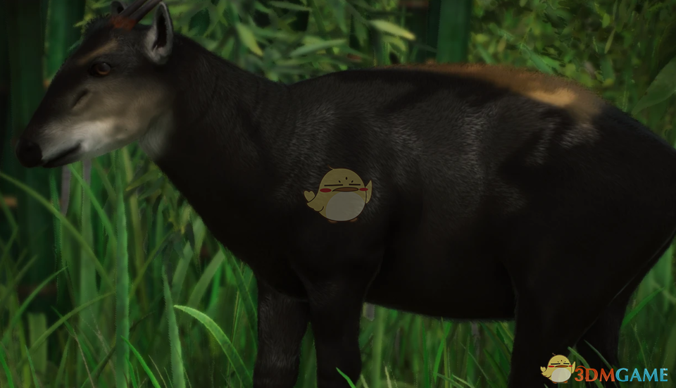 《动物园之星》新物种黄背小羚羊MOD