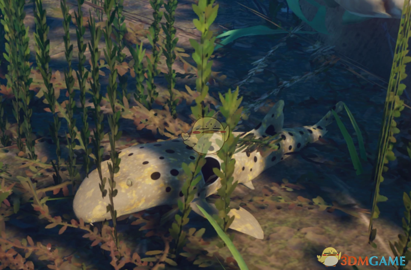 《动物园之星》新物种肩章鲨MOD