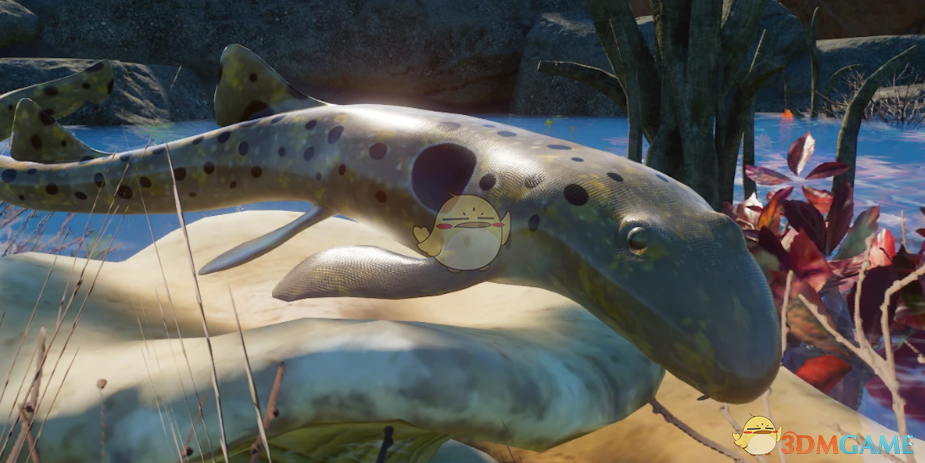 《动物园之星》新物种肩章鲨MOD