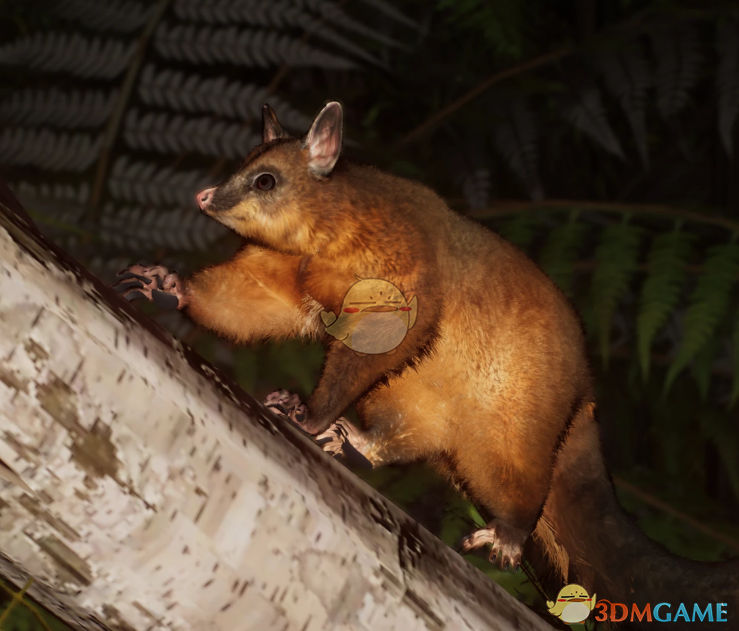 《动物园之星》新物种刷尾负鼠MOD