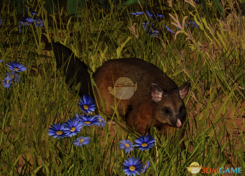 《动物园之星》新物种刷尾负鼠MOD