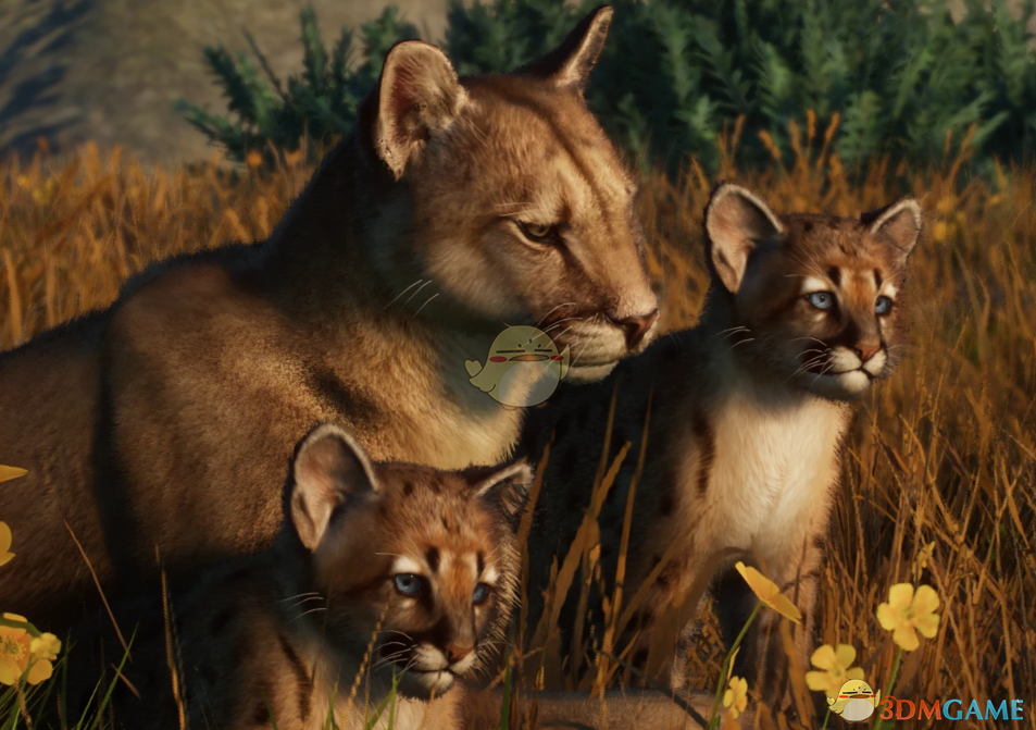 《动物园之星》新物种阿根廷美洲狮MOD