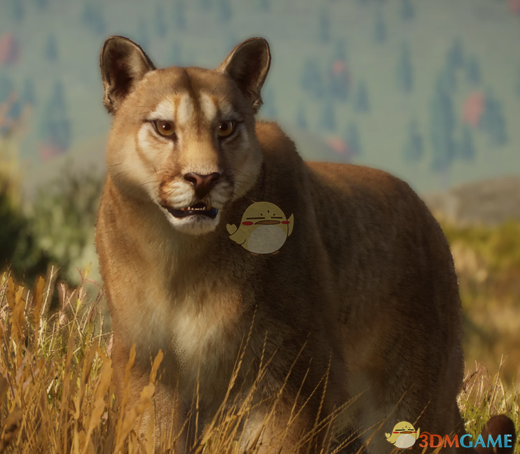 《动物园之星》新物种阿根廷美洲狮MOD