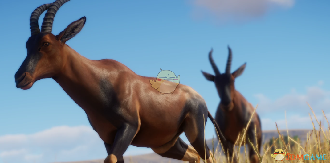 《动物园之星》新物种转角牛羚MOD