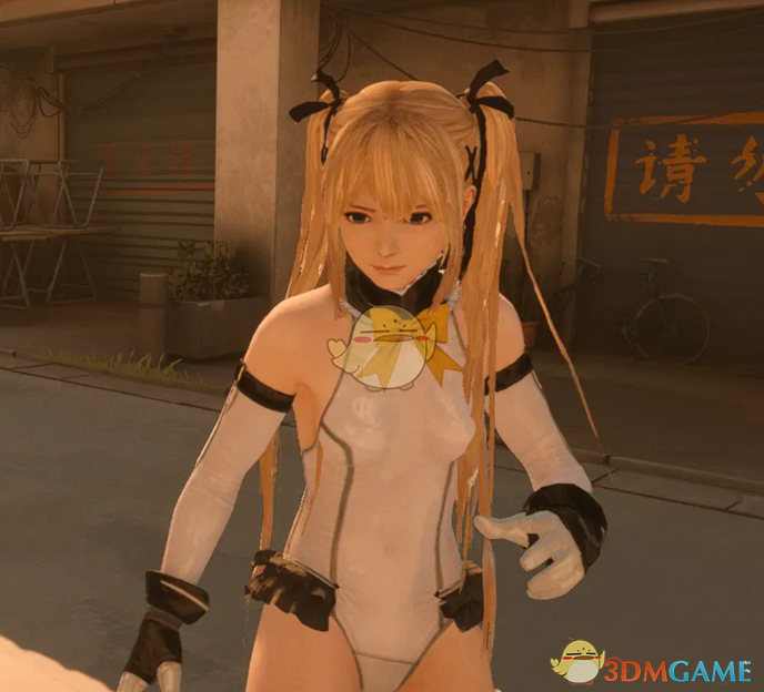 《师父》扮演死或生5战斗服玛丽·罗斯MOD