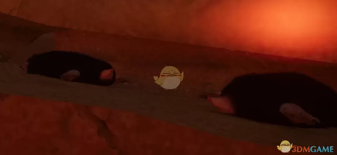 《动物园之星》新物种东日本鼹鼠MOD