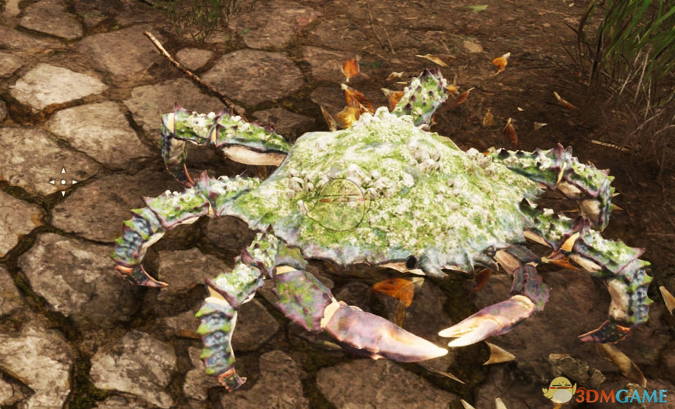 《上古卷轴4：湮灭重制版》友好的动物MOD