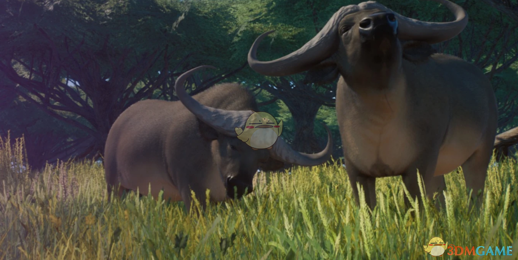 《动物园之星》新物种非洲水牛MOD
