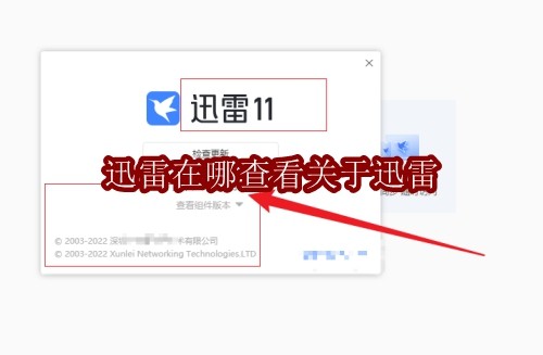 迅雷在哪查看关于迅雷