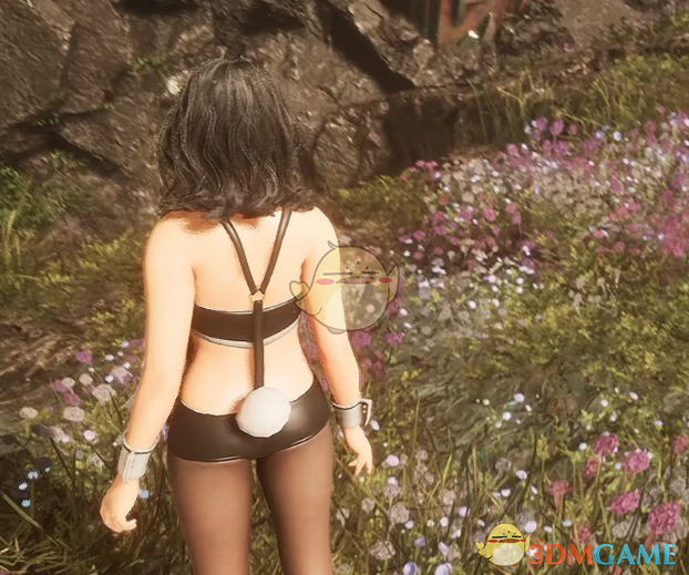 《光与影：33号远征队》吕涅的性感兔女郎套装MOD