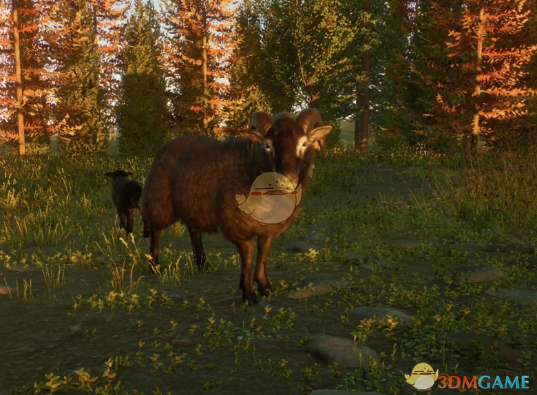 《动物园之星》新物种山绵羊MOD