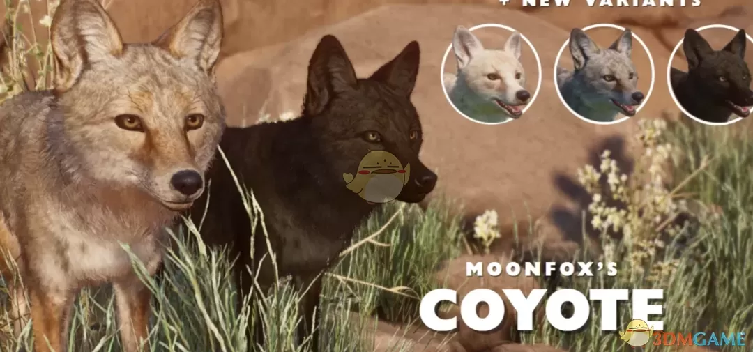 《动物园之星》重制郊狼MOD