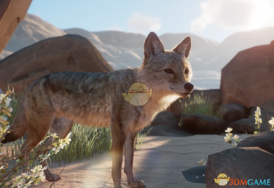 《动物园之星》重制郊狼MOD