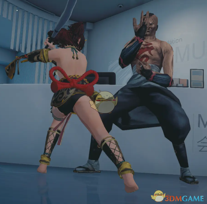 《师父》扮演死或生神无MOD