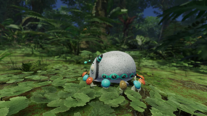 Forest FloorSteam ƥ̽