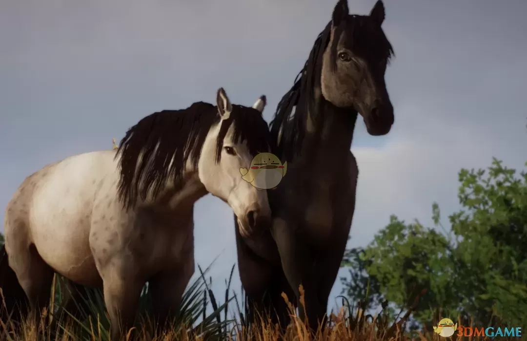 《动物园之星》新物种澳洲野马MOD