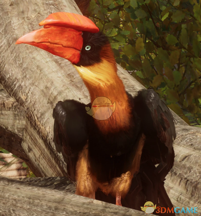 《动物园之星》新物种盔犀鸟MOD