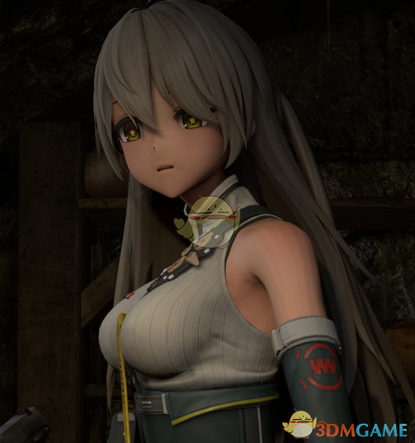 《生化危机4:重制版》少女前线2莱尼替换里昂MOD