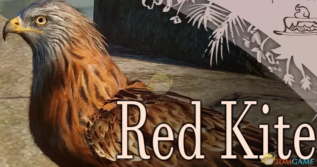 《动物园之星》新物种红鸢MOD