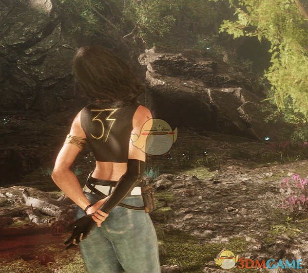 《光与影：33号远征队》吕涅的牛仔露脐装MOD