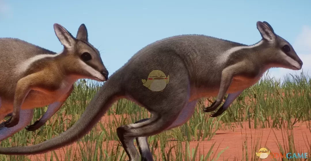 《动物园之星》新物种尖尾兔袋鼠MOD