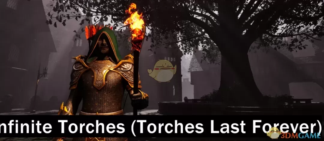 《上古卷轴4:湮灭重制版》无限火把MOD