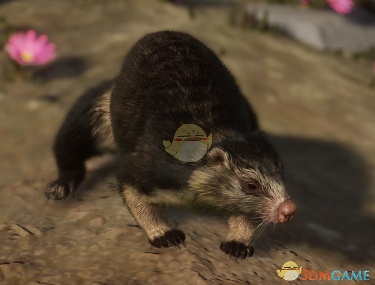 《动物园之星》新物种疯狂野兽MOD