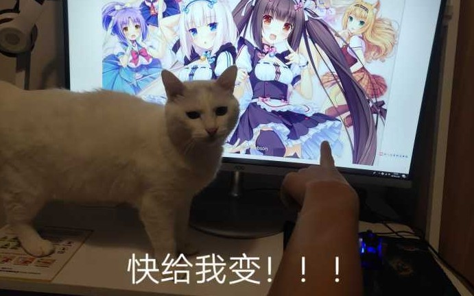 ʲôѧèˣ