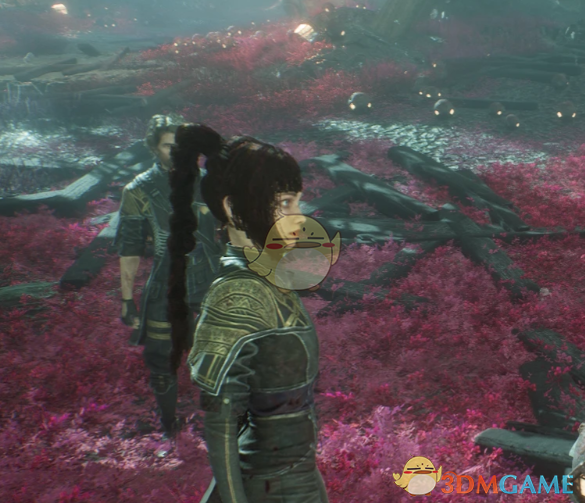 《光与影：33号远征队》玛埃尔的博德之门3影心发型MOD