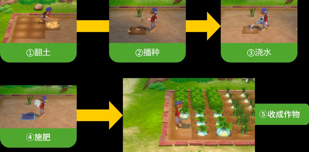 《牧场物语 来吧！风之繁华集市》 公开牧场生活系统介绍