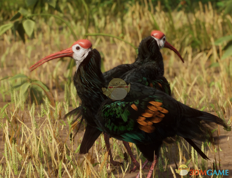 《动物园之星》新物种非洲秃鹳MOD