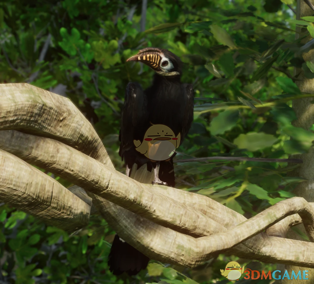 《动物园之星》新物种米沙鄢犀鸟MOD
