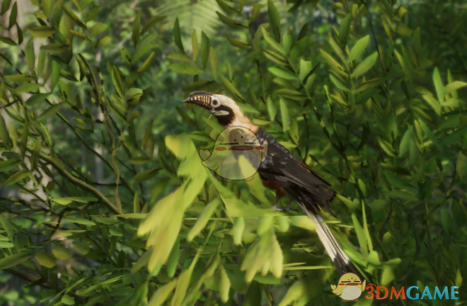 《动物园之星》新物种米沙鄢犀鸟MOD