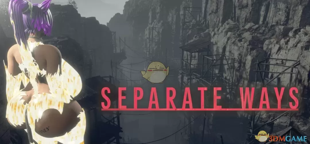 《生化危机4：重制版》死神四枫院夜一替换艾达MOD