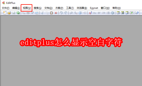 editplus怎么显示空白字符