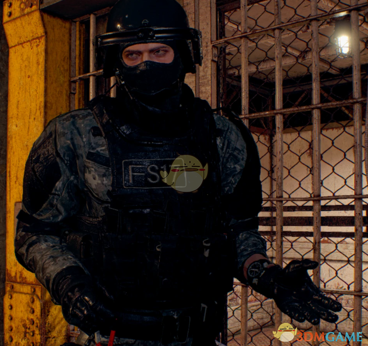 《生化危机4:重制版》里昂的使命召唤战术核心作战服MOD