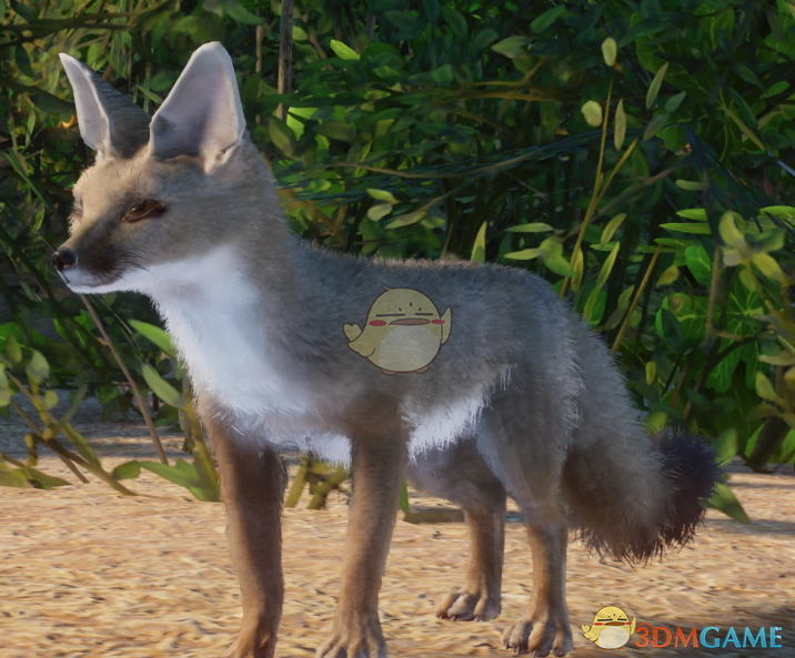 《动物园之星》新物种孟加拉狐MOD