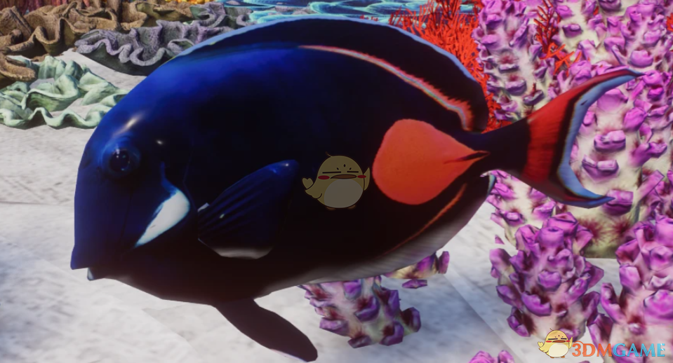 《动物园之星》新物种心斑刺尾鱼MOD