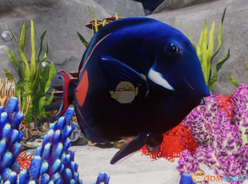 《动物园之星》新物种心斑刺尾鱼MOD