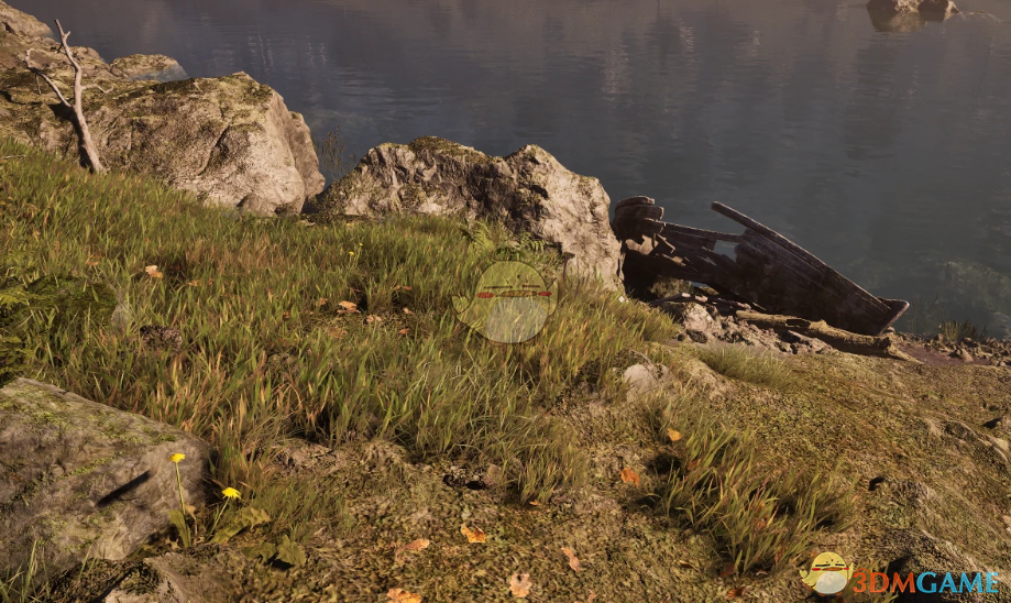 《上古卷轴4：湮灭重制版》更多的草MOD