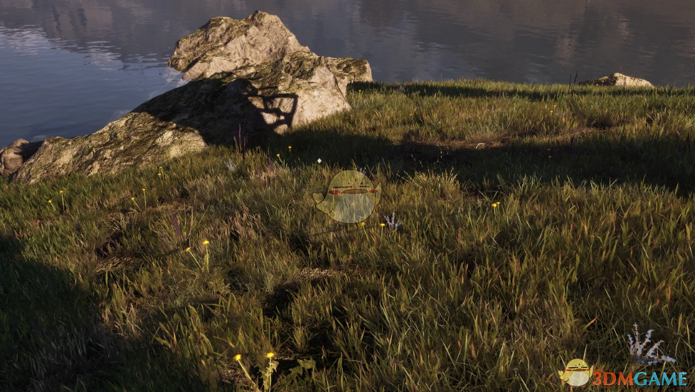 《上古卷轴4：湮灭重制版》更多的草MOD