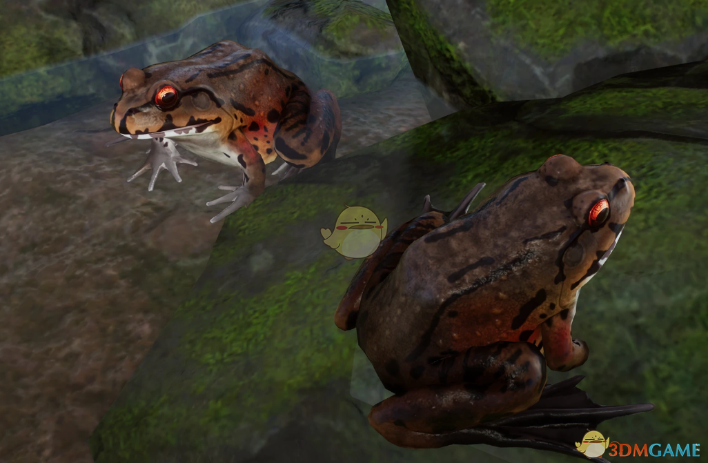 《动物园之星》新物种烟蛙MOD