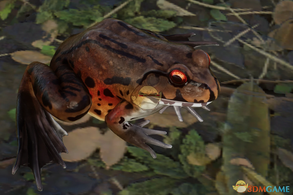 《动物园之星》新物种烟蛙MOD