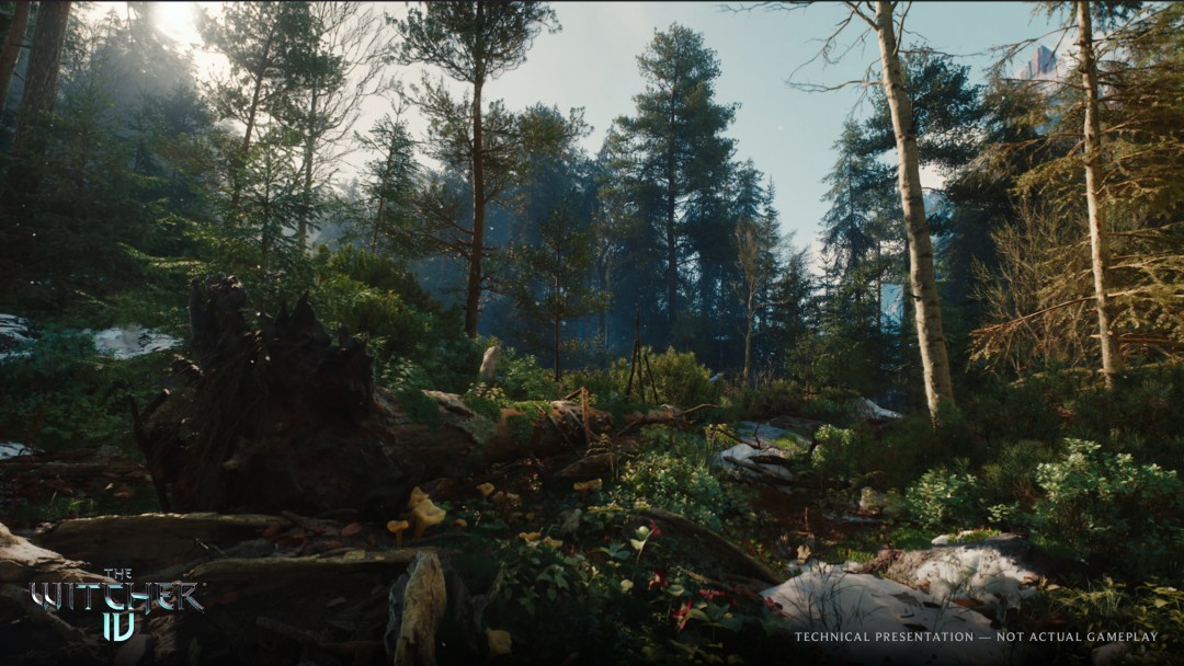 ʦ4CG PS5չʾ5Demo׷60FPS