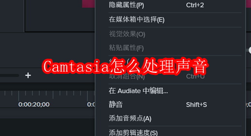 Camtasia怎么处理声音