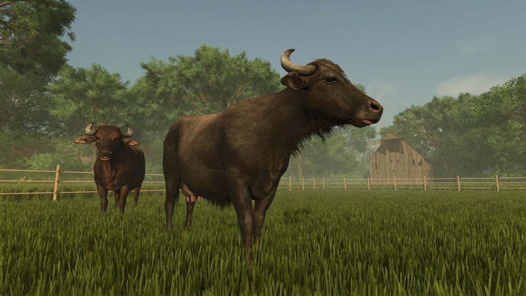 《模擬農場25》 發(fā)布內容擴展包“Plains & Prairies Pack”