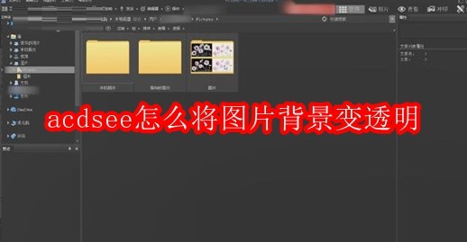 acdsee怎么将图片背景变透明