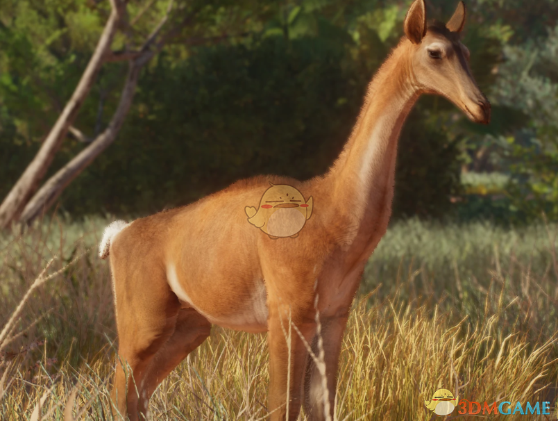 《动物园之星》新物种佛州鳄吻驼MOD